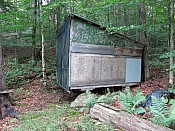 208.jpg